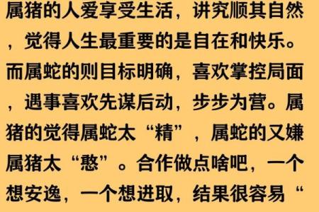 属蛇的和属猪的合不合 属蛇的和属猪的合不合适