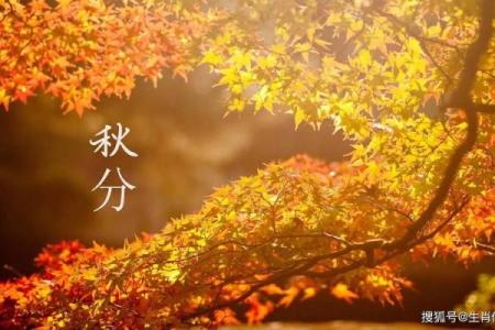 秋风秋雨是什么生肖(秋风秋雨下一句是什么)