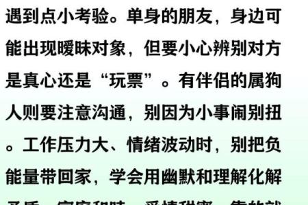 属狗的人2025年全年运势详解，每月运程完整版及得把眼睛擦亮了分析