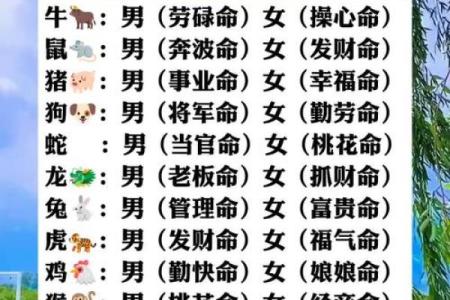 天命是什么 天命是什么生肖