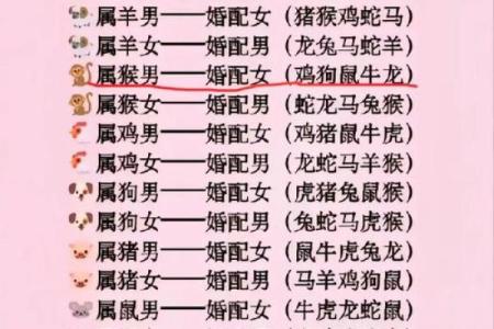 男蛇与女马属相合不合婚姻 男蛇女马属相合不合婚姻呢