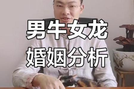 2000年龙男的最佳婚配属相 2000年属龙男婚姻配偶