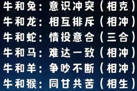 两雄相争打一生肖 两雄相争打一最佳生肖