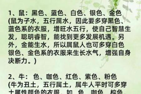 2026属马的大忌颜色 2026属马的大忌颜色有哪些