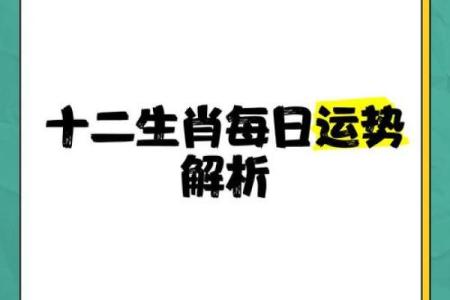 生肖解析：蝼蚁得志代表哪个生肖？其性格特点和运势如何？