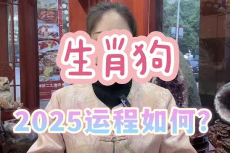1982年属狗女性2025年全年运势详解，健康财运事业婚姻完整解析