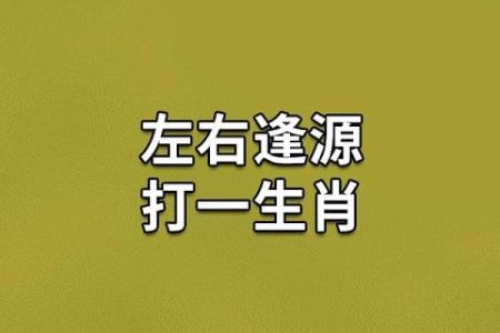 反哺之私打一生肖