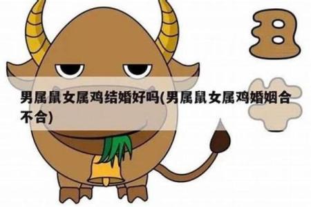 鸡男鼠女属相合不合 鸡男鼠女婚配是否合适