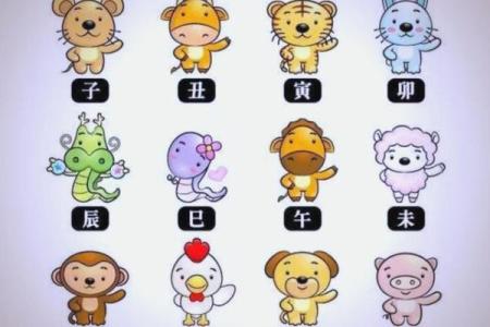 无所不能是什么生肖(无所不能的动物代表什么生肖)