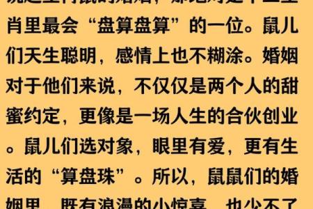 96属鼠最忌三种颜色 96属鼠的姻缘在哪年