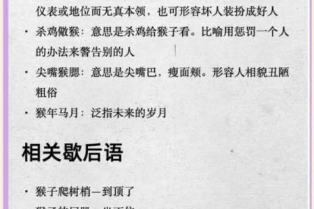 粗俗之辈打一最佳生肖
