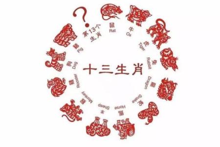 隔三差五是什么生肖