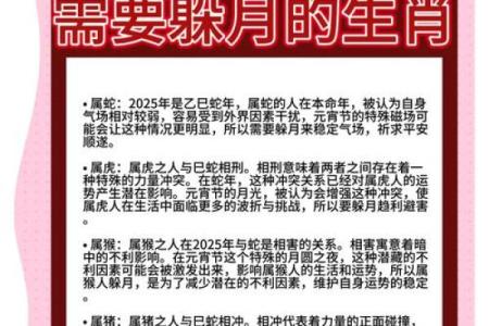 几月出生的龙好 属虎的几月出生最好命