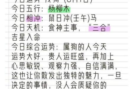 属狗的人2025年全年运势详解，每月运程完整版及得把眼睛擦亮了