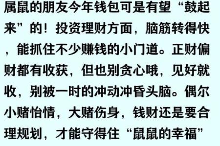 2008年属鼠人2025年全年运势详解，学习健康财运全面解析