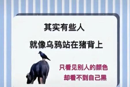 ‌添油加醋打一生肖 → 狐狸‌（狐言添薪，煽风点火）