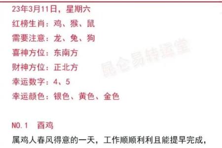 比是什么生肖 夜肖是什么生肖正确答案
