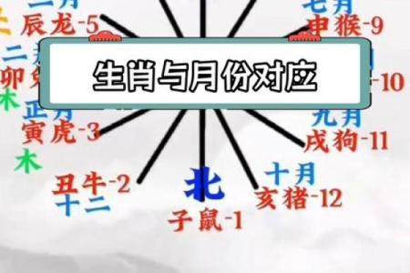 2013年属什么生肖属相 2013年属什么生肖五行什么