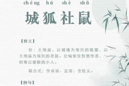 二一之间定春秋打一最佳生肖(二一之间是什么数字)