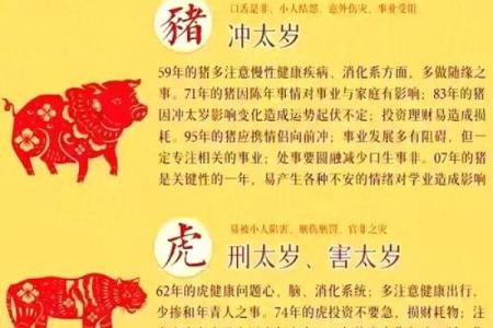 2025年属鼠人的全年运势如何？有没有化解太岁和提升运势的好方法？