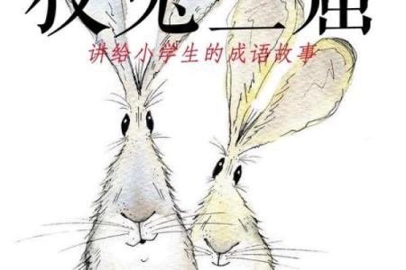远水救不了近火打一生肖‌：兔（卯木生火，远水难及）