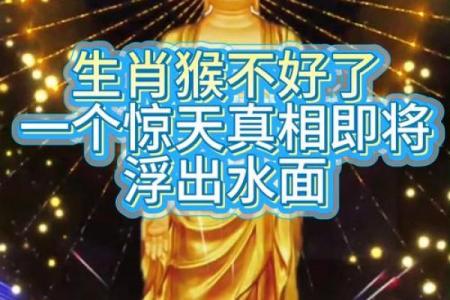 ‌三令五申打一生肖 → 猴‌（猴性顽劣，令申方从）