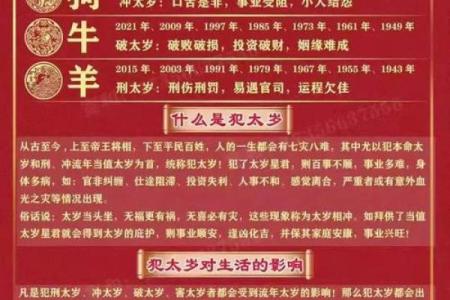 2024年属鼠人的运势详解，今年事业财运健康方面会有重大变化吗？