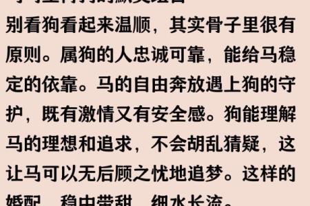 属马的属相婚配表 属马的属相婚配表大全集图片
