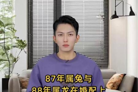 86和88年属相婚配 86年和88年合得来吗