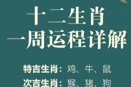 2024年属鼠人每月运势如何？事业财运健康感情全面解析
