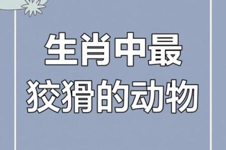 才子佳人指什么生肖