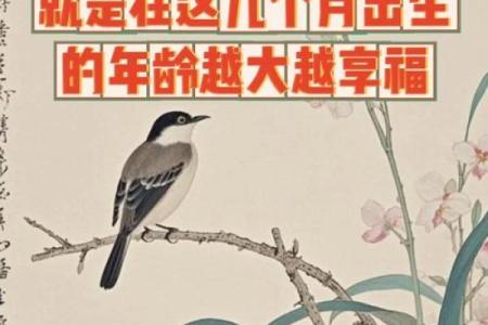 属马2026年几月出生好 2026年属马的几月出生最好
