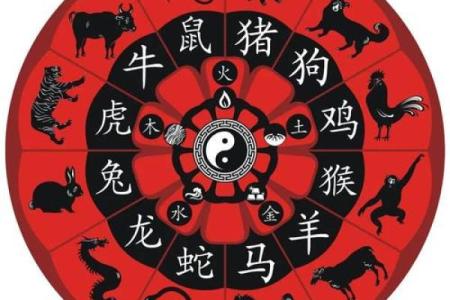 雪泥鸿爪是什么生肖