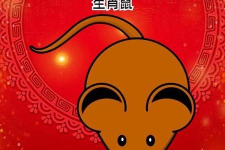 1972年出生的生肖鼠五行属性查询，命理特点与运势解析