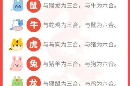 2023年属什么生肖年是什么年 2023年属什么生肖是火年吗