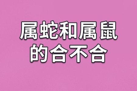 两个鼠的属相合不合 两个鼠的属相合不合婚姻