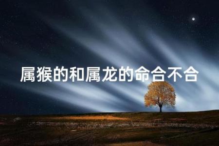 2000年属龙和2004年属猴的能婚配吗 2000年属龙的和2004年属猴的相配吗