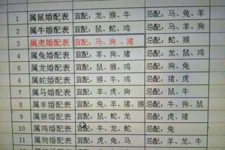 2002年属相婚配表 2002年婚配