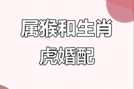 04年猴男婚配什么属相好 04年属猴男孩的命运与04年属猴女适合谈恋爱吗