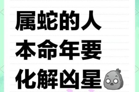 2025属蛇不能去的方向 本命年不能去的地方