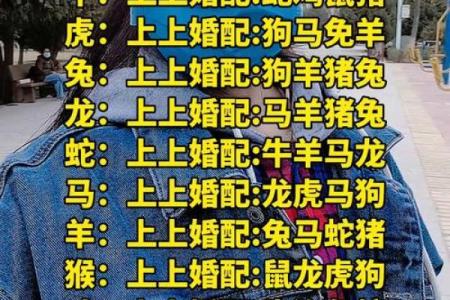 1982年属相婚配 82年的狗最佳配偶表
