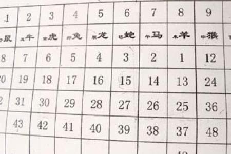 雁过留声打一最佳生肖的谜底解析与正确答案揭晓