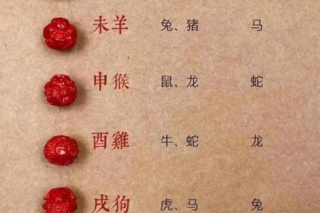 属相猪和龙属相合不合 属相猪和龙属相合不合财