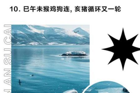 独霸森林是什么生肖 独霸森林打一最佳生肖