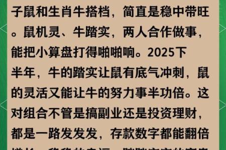 1984年出生的属鼠人40岁后财运详细解析与提升建议