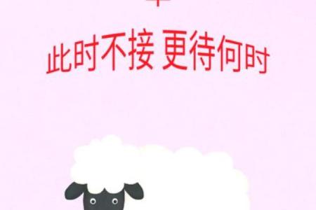 2025年属羊大忌颜色 2022年属羊大忌颜色