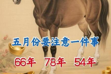 71岁属马是哪年出生的 71岁属马是哪年出生的人
