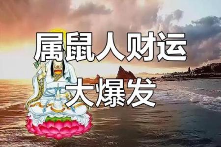 1972年属鼠的人今年财运和事业运势如何发展？