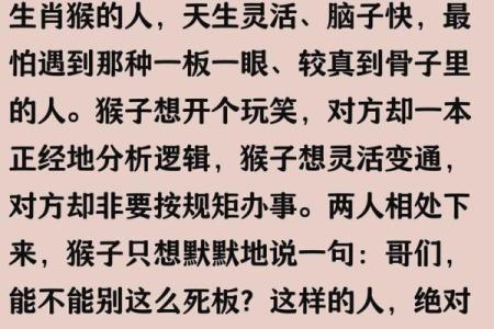 老鼠与猴子属相合不合 老鼠与猴子属相合不合财