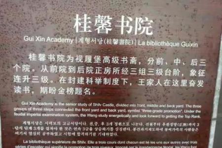 后院种树指什么生肖(后院种树意思)